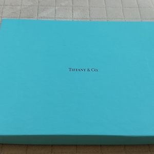 Tiffany Leather Millennium Journal